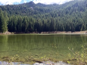 Pansy Lake